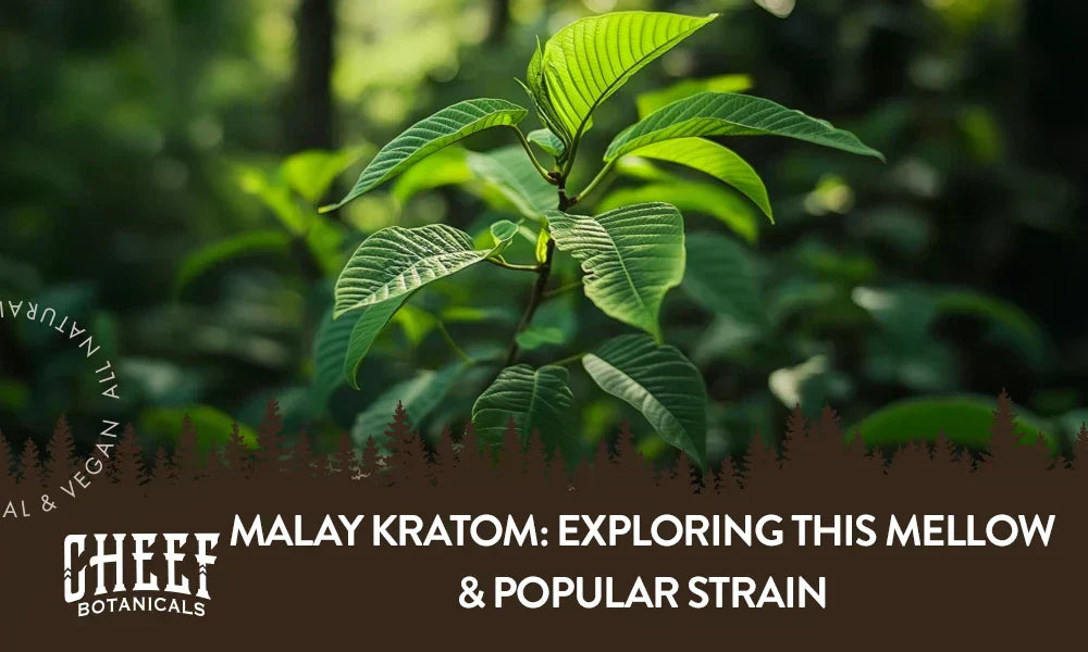 Reliable kratom vendors