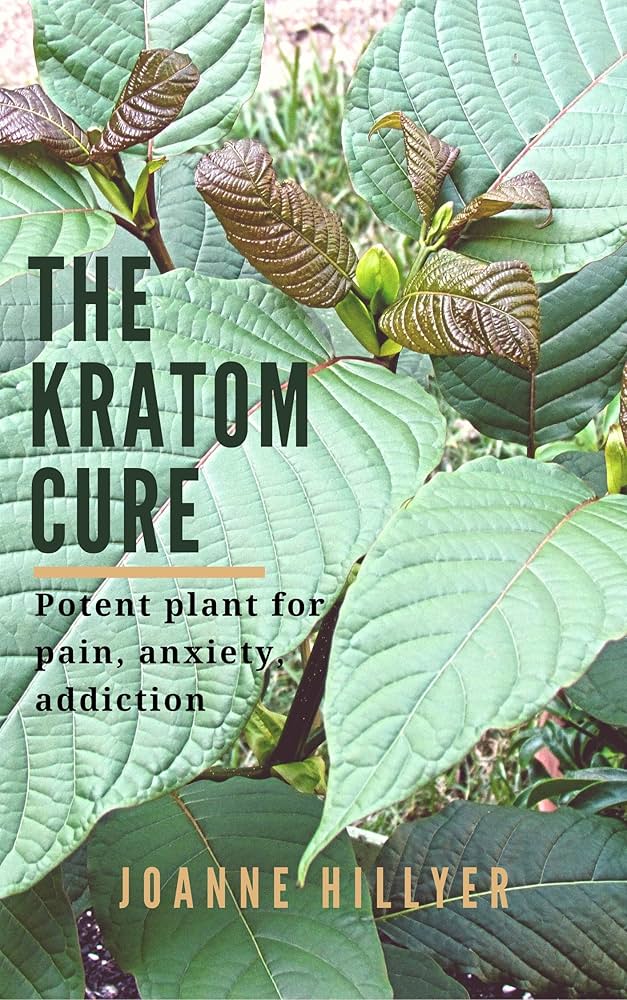 Kratom Extraction for Beginners: Your Easy Home Guide to Potent Results